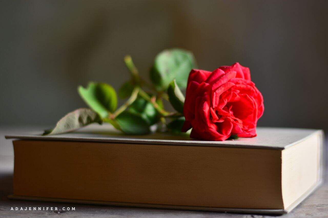 Romantic love poems for him